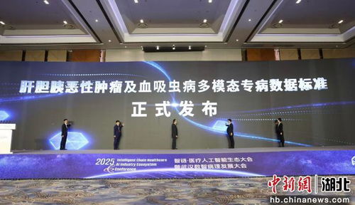 2025智鏈醫(yī)療人工智能生態(tài)大會(huì)啟幕，智能技術(shù)驅(qū)動(dòng)醫(yī)療健康新未來